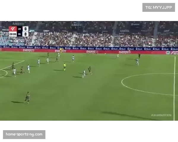 莱万特1比2遭塞尔塔绝杀 罗曼第90分钟禁区内制胜 莱万特1比2遭塞尔塔绝杀 罗曼第90分钟禁区内制胜